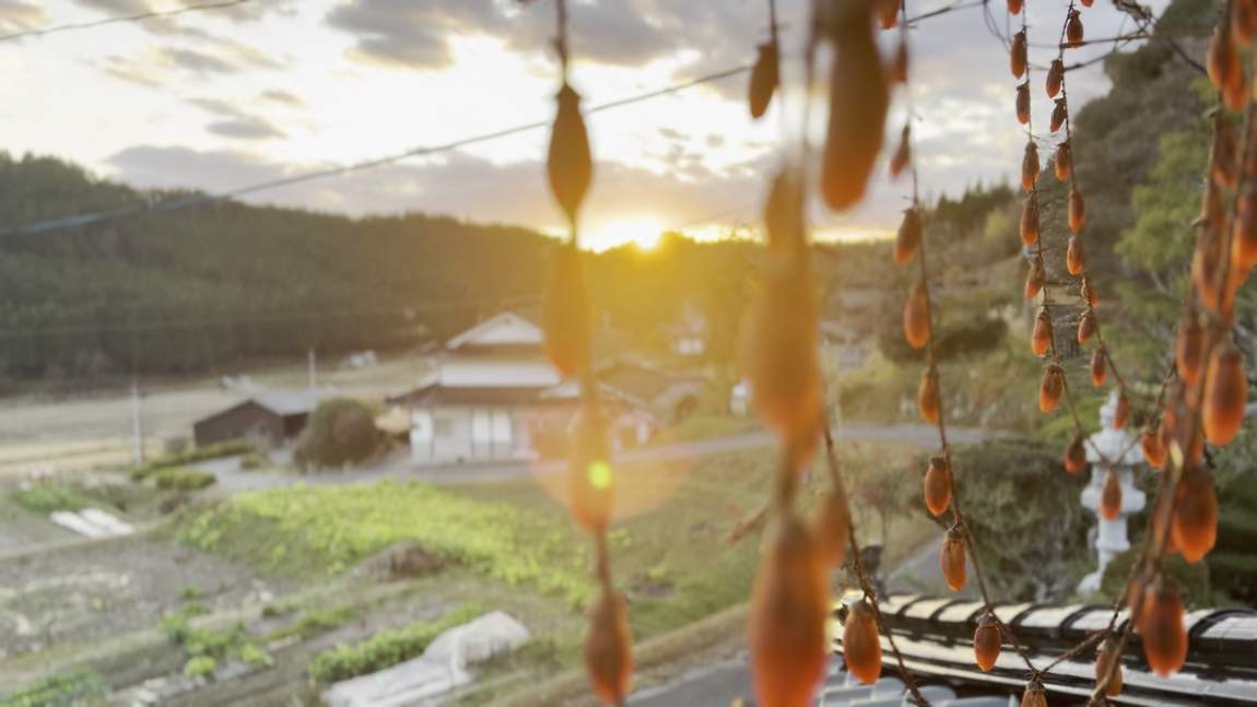 Persimmons hanging on a line to dry, against the sun setting over the village.